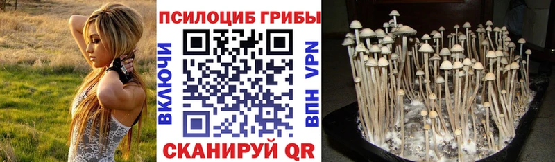hydra онион  Заринск  Псилоцибиновые грибы Magic Shrooms 